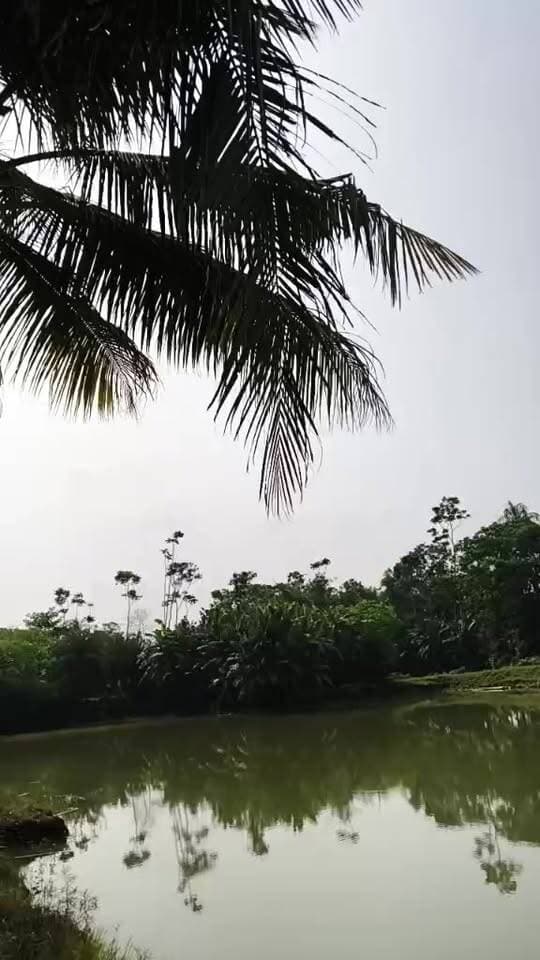 মেঘলা আকাশ, বি•ক্ষিপ্ত বৃষ্টির সম্ভাবনা! উত্তর ২৪ পরগনার আজকের আবহাওয়ার সর্বশেষ আপডেট ।