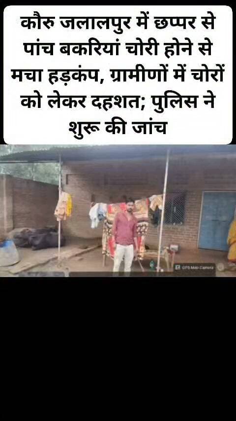 कौरु जलालपुर में छप्पर से पांच बकरियां चोरी होने से मचा हड़कंप, ग्रामीणों में चोरों को लेकर दहशत; पुलिस ने शुरू की जांच।