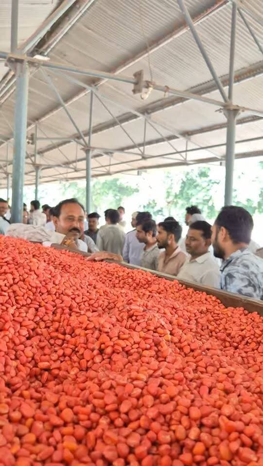 08 सितंबर 2026 | मंडी भाव | कृषि उपज मंडी खातेगांव, जिला-देवास (म.प्र.) Khategaon Mandi • मंडी भाव