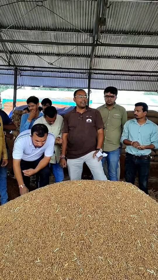 चना एवं मूंग भाव 08/09/2026 #viral #mandi #भाव #चना