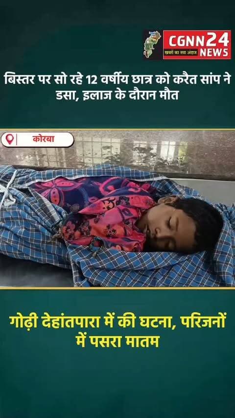 कोरबा के गोढ़ी देहांतपारा में शनिवार सुबह करैत सांप के डसने से 12 साल के छात्र की मौत हो गई। कक्षा 6वीं में पढ़ने वाला रामकृष्ण मंझवार रात में बिस्तर पर सो रहा था। तड़के करीब 5 बजे उसे सांप ने डस लिया। परिजनों ने 108 एंबुलेंस को फोन किया, लेकिन समय पर वाहन नहीं पहुंचने पर पिता बेटे को बाइक से अस्पताल ले जाने निकल पड़े। रास्ते में एंबुलेंस मिलने के बाद उसे मेडिकल कॉलेज पहुंचाया गया, जहां रविवार को इलाज के दौरान उसकी मौत हो गई।