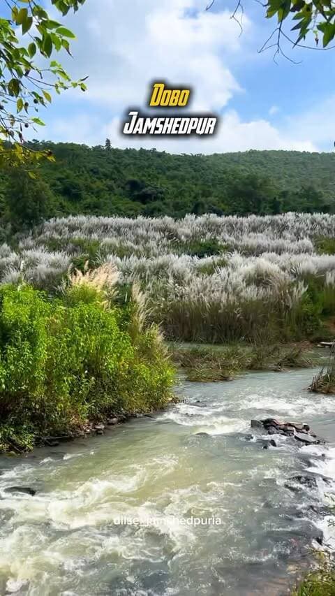 Jamshedpur is blooming in a whole new way this season.
The beautiful khaas phool have covered the landscape, and Dobo looks absolutely magical with these seasonal purple blooms. Nature has turned the familiar roads and surroundings into a picture-perfect canvas.
If you’re in Jamshedpur, Dobo is definitely worth a visit this season.
Have you spotted the khaas phool yet?
#Jamshedpur #Dobo #KhaasPhool #JamshedpurDiaries #JamshedpurCity Jharkhand JharkhandTourism ExploreJharkhand IncredibleJharkhand NatureLovers NaturePhotography SeasonalBeauty HiddenBeauty JamshedpurReels JharkhandReels ReelsIndia InstaReels ExploreIndia
jamshedpur
jharkhand
instagram
keepsupporting
reelsinstagram
reelkarofeelkaro
reelitfeelit
reels
trending
trendingreels