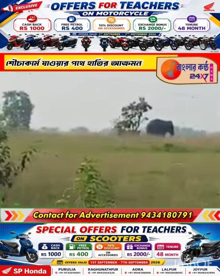 মানবাজারে দাঁতাল হাতির হানায় আহত মহিলা