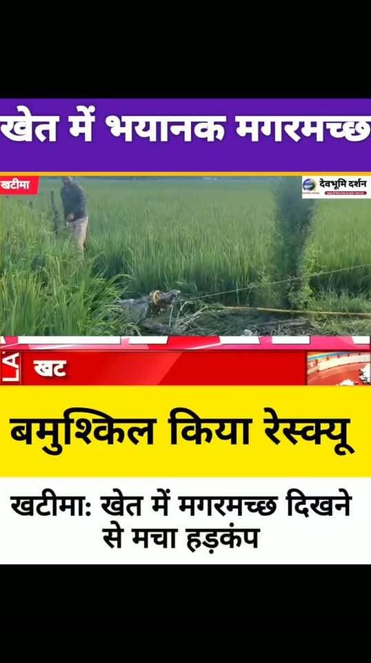 खटीमा के संतना क्षेत्र में खेत में दिखा भयानक मगरमच्छ वन विभाग ने बमुश्किल किया रेस्क्यू।।।
||Khatima crocodile rescue||
#devbhoomi_darshan
#UttarakhandNews
#uttarakhand