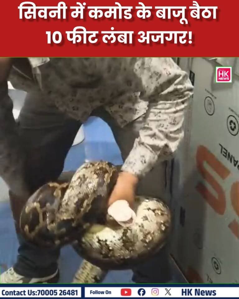 बाथरूम में बैठा था 10 फीट लंबा अजगर!
सिवनी के मोहगांव सड़क स्थित एक घर में कमोड के बाजू करीब 10 फीट लंबा अजगर देखकर घरवालों के होश उड़ गए। सूचना मिलते ही सर्प मित्र प्रवीण तिवारी मौके पर पहुंचे और करीब 20 मिनट की मशक्कत के बाद 12 किलो वजनी अजगर का सुरक्षित रेस्क्यू किया।
गनीमत रही कि इस दौरान कोई जनहानि नहीं हुई।
📹 देखिए अजगर के रेस्क्यू का वीडियो...
#Seoni #SnakeRescue #Python #Ajgar #HKNewsSeoni #MadhyaPradesh Rajneesh Harvansh Singh Collector Office Seoni Dinesh Rai Munmun Adv Nitin Daheriya
