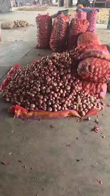 प्याज़ के भाव मे भयंकर उछाल 5000 रूपए कुंतल तक पंहुचा प्याज़ #pyajkaBhav