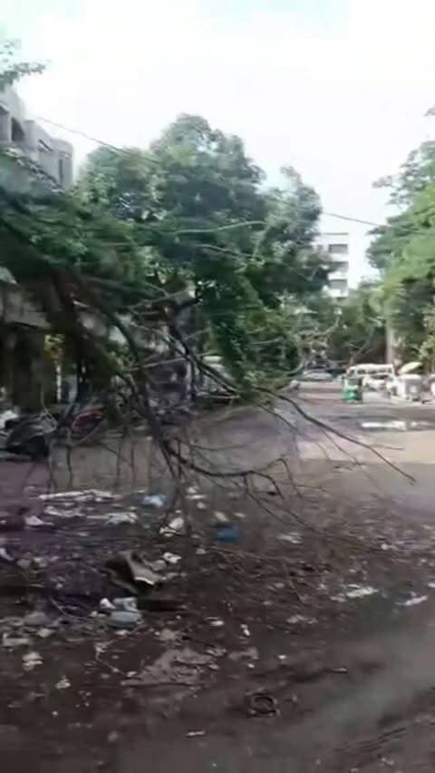 Powai Vihar Complex Ke Paas Sadak Ki Haalat Kharab! Gaddhon Se Pareshan Log