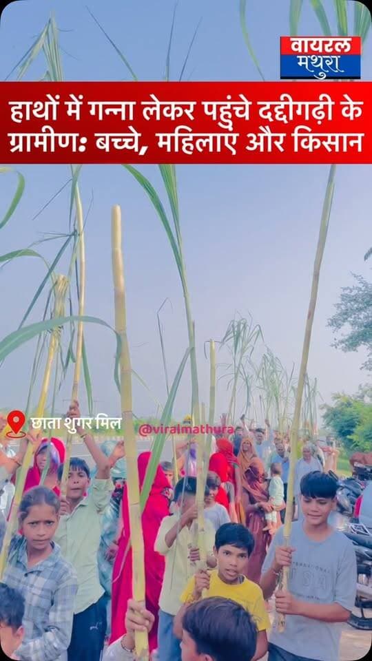 #मथुरा - छाता शुगर मिल धरने पर हाथों में गन्ना लेकर पहुंचे दद्दीगढ़ी के ग्रामीण: बच्चे, महिलाएं और किसान—नन्हें मुन्नों से लेकर बुजुर्गों तक ने छाता शुगर मिल धरने पर पहुंचकर भरी हुंकार
👉सैकड़ों की संख्या में जुटी भारी भीड़, हर वर्ग के समर्थन से और अधिक मजबूत हुआ भूतपूर्व सैनिक परिषद और किसानों का संघर्ष
#viralmathura #chhatasugarmil #mathuranews #viralnews