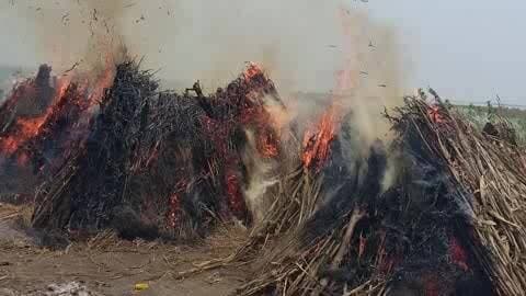 बदायूं: कछला गंगा घाट पर एक साथ जलीं आठ चिताएं, लोगों की आंखें हुईं नम