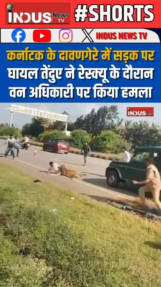 कर्नाटक के दावणगेरे में सड़क पर घायल तेंदुए ने रेस्क्यू के दौरान वन अधिकारी पर किया हमला
#karnataka #Dāvanagerenews #leopard #attack #forest #ForestOfficer #viralvideoシ #LeopardAttack #LatestNews #BreakingNews #NewsUpdate #reelsviralシ #reelsviral #reelsfb #reelsfbシ #reelsvideoシ #viralreels #viralpost #viral #viralreelsシ #animalrescue #animalattacks #newsfeed #shorts #shortsvideos #wildanimals #LeopardRescue #newseason #newstock