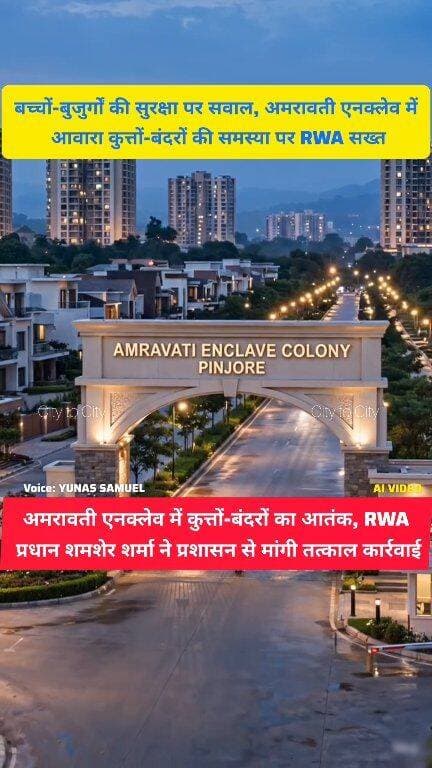 पिंजौर की अमरावती एनक्लेव में बढ़ा ख़तरा
कुत्तों-बंदरों पर RWA प्रधान शमशेर शर्मा की प्रशासन से दो टूक मांग
#pinjore #kalka #haryana #panchkula #news