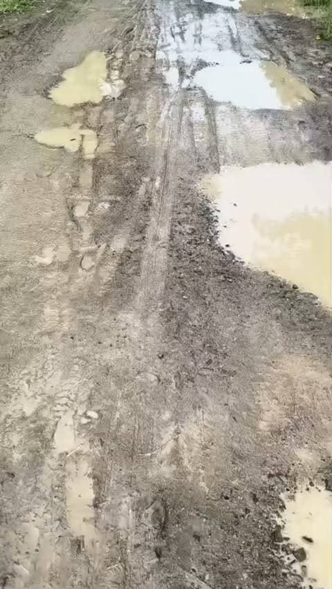 रोलियाखेड़ी का 2 किमी का मुख्य मार्ग कच्चा, बारिश में ग्रामीण परेशान