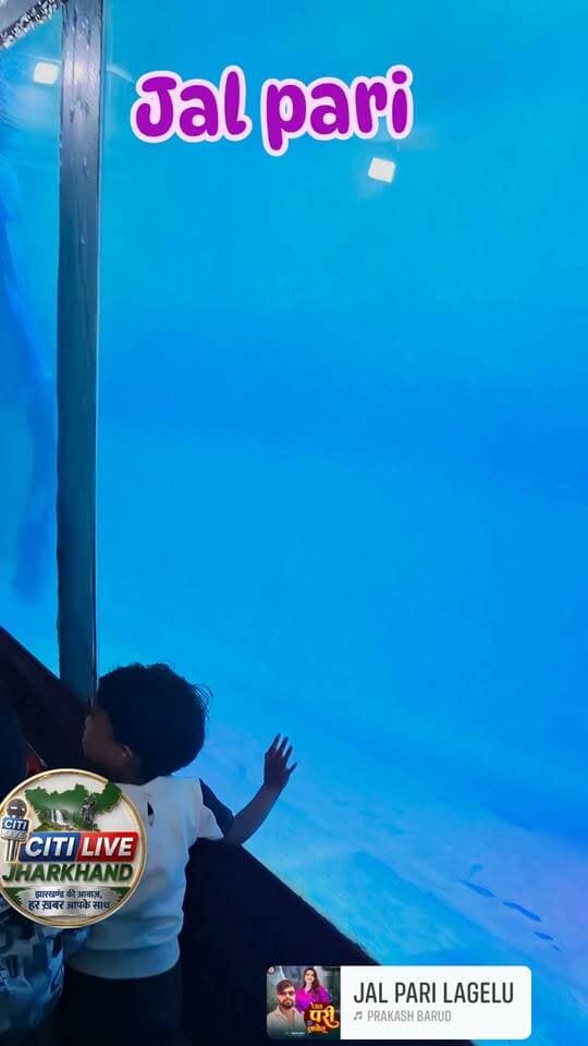 Jal pari
