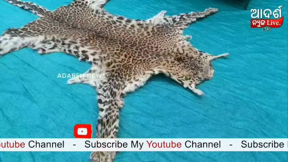 News video thumbnail