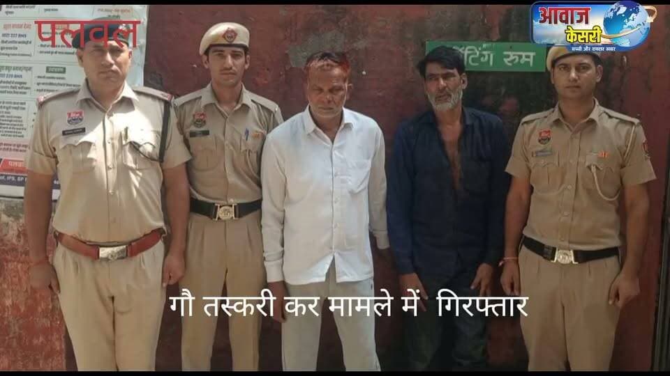 001
प्रैस नोट-जिला पलवल
दिनांक 08 सितम्बर 2026
*मुंडकटी थाना पुलिस की गोवंश तस्करों के खिलाफ बड़ी कार्रवाई, फर्जी नंबर प्लेट लगी आई-20 कार से तीन गोवंश बरामद, दो तस्कर गिरफ्तार।*
*जिले में गोतस्करी और अवैध गतिविधियों में लिप्त किसी भी असामाजिक तत्व को बख्शा नहीं जाएगा-दीप्ति गर्ग,एसपी पलवल।।*
पुलिस अधीक्षक पलवल दीप्ति गर्ग, आईपीएस के कुशल मार्गदर्शन में जिले में अपराधियों और गोवंश तस्करों के खिलाफ चलाए जा रहे विशेष अभियान के तहत पलवल पुलिस को एक बड़ी सफलता हासिल हुई है। थाना मुंडकटी पुलिस ने गश्त के दौरान मुंडकटी क्षेत्र में कार्रवाई करते हुए गोवंश की तस्करी कर रहे दो आरोपियों को गिरफ्तार किया है तथा उनके कब्जे से तीन गोवंश और फर्जी नंबर प्लेट लगी एक आई-20 कार बरामद की है।
थाना मुंडकटी प्रभारी निरीक्षण कैलाश चन्द से प्राप्त जानकारी के अनुसार दिनांक 07.09.2026 को पुलिस को सूचना मिली थी कि औरंगाबाद से गहलव रोड पर एक आई-20 कार में कुछ लोग गोवंश भरकर ले जा रहे हैं। सूचना मिलते ही मुंडकटी थाना पुलिस मौके पर पहुँची और मौके से दो आरोपियों को काबू किया, जबकि उनका एक अन्य साथी मौके का फायदा उठाकर फरार होने में सफल रहा।
गिरफ्तार किए गए आरोपियों की पहचान हम्मन उर्फ अलाउद्दीन निवासी मोहरू का नंगला, हसनपुर, जिला पलवल और फारुक निवासी पीर गढ़ी हसनपुर, जिला पलवल के रूप में हुई है। फरार तीसरे आरोपी की पहचान जमशेद उर्फ जम्मी निवासी उटावड, हथीन के रूप में हुई है, जिसकी तलाश के लिए पुलिस दबिश दे रही है।
तलाशी के दौरान गाड़ी से तीन गोवंश (एक बछड़ा गोरा, एक सांड सफेद रंग और एक सफेद गोरी गाय) बरामद किए गए, जिनके मुंह और पैर रस्सियों से क्रूरतापूर्वक बांधे गए थे। गाड़ी पर जो नंबर प्लेट (HR-70A-9997) लगी पाई गई, वह जांच के दौरान फर्जी पाई गई।
इस संबंध में थाना मुंडकटी में सिविल लाइन पलवल निवासी शैलेंद्र की शिकायत पर भारतीय न्याय संहिता की विभिन्न धाराओं तथा गोवंश संरक्षण एवं पशु संवर्द्धन अधिनियम और पशु क्रूरता अधिनियम के तहत मुकदमा दर्ज किया गया है। बरामद गोवंश को गौशाला के सुपुर्द किया गया है। गिरफ्तार आरोपियों को माननीय अदालत में पेश कर न्यायिक हिरासत में जेल भेजने की प्रक्रिया की जा रही है।
पुलिस अधीक्षक पलवल श्री दीप्ति गर्ग, आईपीएस ने कहा कि जिले में गोतस्करी और अवैध गतिविधियों में लिप्त किसी भी असामाजिक तत्व को बख्शा नहीं जाएगा और सख्त कानूनी कार्रवाई जारी रहेगी।