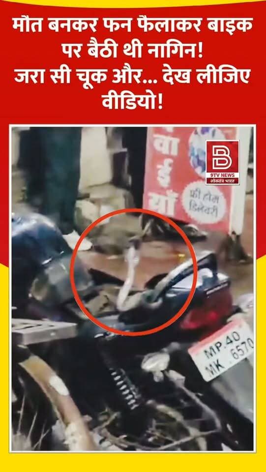 मौत बनकर फन फैलाकर बाइक पर बैठी थी नागिन! जरा सी चूक और... देख लीजिए वीडियो!
#IndoreNews #ViralVideo #SnakeRescue #Indore #TrendingNow
डिस्क्लेमर:
यह वीडियो सोशल मीडिया पर आधारित है। वीडियो में दिखाए गए दृश्य, बयान एवं तथ्यों/दावों का चैनल से कोई संबंध नहीं है। वीडियो कब का है, इसकी पुष्टि नहीं हुई है। हमारा उद्देश्य जन जागरूकता फैलाना और भ्रष्टाचार के लिए आवाज उठाना है। किसी भी कानूनी/पुलिस कार्रवाई के लिए चैनल जिम्मेदार नहीं होगा। समाचार सामाजिक संचारित एवं प्रशासन को सचेत करने के लिए है।