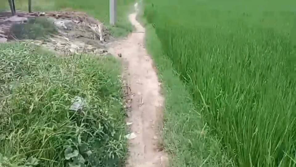 18 साल से रास्ते का इंतजार! माछिल जमीन माछिल (उसरा) के ग्रामीण परेशान, बारिश में बच्चों का स्कूल जाना मुश्किल
