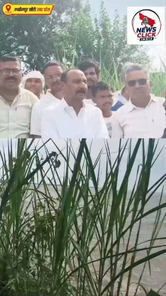 बिजुआ ब्लॉक में शारदा नदी के बढ़ते कटान और बाढ़ से ग्रामीण परेशान हैं। मंगलवार को समाजवादी पार्टी के नेता और पूर्व गोला विधायक विनय तिवारी ने बाढ़ एवं कटान प्रभावित क्षेत्रों का दौरा कर ग्रामीणों से मुलाकात की और उनकी समस्याएं जानीं।
#लखीमपुरखीरी #बिजुआ #शारदानदी #बाढ़ #कटान #बाढ़प्रभावित #किसान #ग्रामीण #विनयतिवारी #पूर्वविधायक #गोला #बिजुआब्लॉक #मुआवजा #शारदानदीकटान #LakhimpurKheri #FloodNews #UPNews
Akhilesh Yadav Bharatiya Janata Party (BJP) Deepak Kumar Pandey Amandeep Singh Sandhu Samajwadi Party Rahul Gandhi Romi Sahni Kulwant Joshan Udit Trivedi Suchit Pratap Singh Pawan Jaiswal Prabhat Gupta Deepak Puri