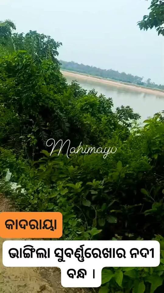 କାଦରାୟା ଗ୍ରାମ ପଞ୍ଚାୟତ ସୁବର୍ଣ୍ଣରେଖା ନଦୀ ବନ୍ଦ ମୁଖ୍ୟ ରାସ୍ତା ଭାଙ୍ଗିଯାଉଥିଵାର ଭିଡିଓ ।