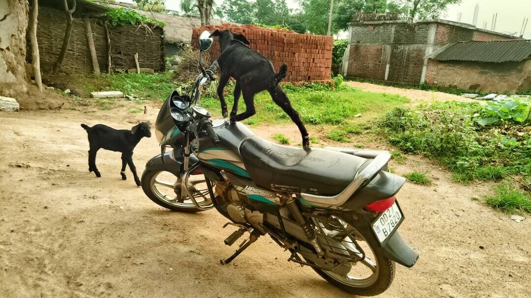 ଆଶ୍ଚର୍ଯ୍ୟ ଲାଗୁଥିଲେ ବି ଏହା ସତ!
ବାଇକ୍ ଚଢ଼ିବା ପାଇଁ ଏହି ଛୋଟ ଛେଳିଟି ସମ୍ପୂର୍ଣ୍ଣ ପ୍ରସ୍ତୁତ ଦେଖାଯାଉଛି। ଏପରି ଦୃଶ୍ୟ ବାସ୍ତବରେ ଅଳ୍ପ ଦେଖିବାକୁ ମିଳେ।
ଆପଣଙ୍କୁ କ’ଣ ଲାଗୁଛି? ଏହି ଛେଳିଟି କୁଆଡ଼େ ଯାଉଛି?
କମେଣ୍ଟ କରି ଜଣାନ୍ତୁ!
<nis:link nis:type=tag nis:id=funny nis:value=Funny nis:enabled=true nis:link/> <nis:link nis:type=tag nis:id=viralpost nis:value=ViralPost nis:enabled=true nis:link/> <nis:link nis:type=tag nis:id=odishatourism nis:value=odishatourism nis:enabled=true nis:link/>