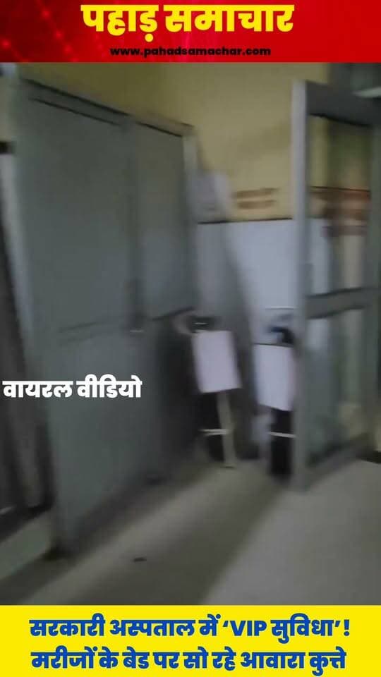 सरकारी अस्पताल में ‘VIP सुविधा’! मरीजों के बेड पर सो रहे आवारा कुत्ते
पिथौरागढ़ जिला अस्पताल के जनरल वार्ड का बताया जा रहा एक वीडियो सोशल मीडिया पर चर्चा में है। वीडियो में रात करीब 3 बजे एक आवारा कुत्ता मरीज के बेड पर आराम फरमाता नजर आ रहा है।
अब सवाल यह है कि जिस अस्पताल में मरीज इलाज और सुरक्षित माहौल की उम्मीद लेकर पहुंचते हैं, वहां आवारा कुत्ते रात के वक्त मरीजों के बेड तक कैसे पहुंच रहे हैं? अगर अस्पतालों की व्यवस्थाओं को बेहतर बनाने के दावे किए जा रहे हैं, तो जिला अस्पताल की ये तस्वीरें व्यवस्थाओं और निगरानी पर गंभीर सवाल जरूर खड़े करती हैं।
#UttarakhandNews #Uttarakhand #Pithoragarh #PithoragarhNews #GovernmentHospital #Hospital #NewsUpdate #PahadSamachar