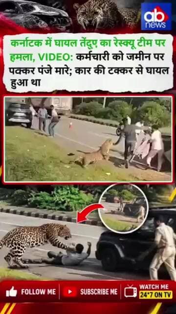 गुस्से में तेंदुआ, ऐसे मचाया आतंक #breakingnews #hindinews #latestnews #ajayabharat