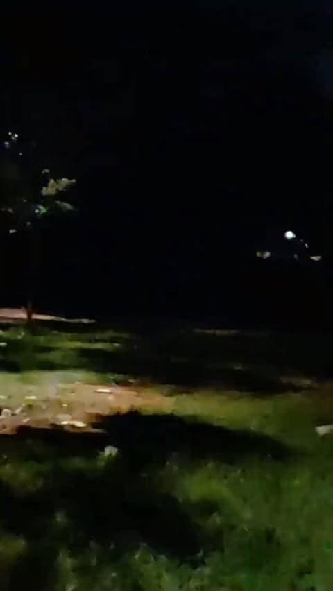 Meenatai Thackeray Garden | Street Lights Band Hone Se Log Pareshan