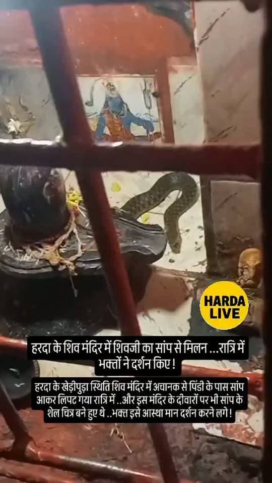 हरदा के खेड़ीपुड़ा स्थिति शिव मंदिर में अचानक से पिंडी के पास सांप आकर लिपट गया रात्रि में ..और इस मंदिर के दीवारों पर भी सांप के शेल चित्र बने हुए थे ..भक्त इसे आस्था मान दर्शन करने लगे !
.
.
.
#harda #indore #bhopal