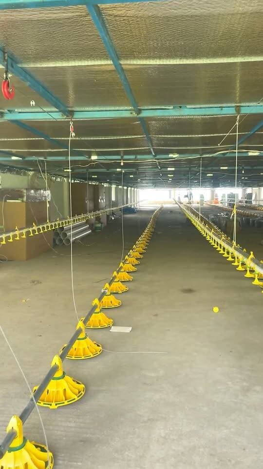 এক কোটি টাকার Ec Poultry Farm …..