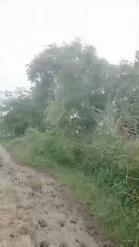 सुमेरपुर विकासखंड के ग्राम टेढ़ा से सागर डेरा होते हुए गडरिया मार्ग है जो कि इसमें आज यह हाल है कि किसी भी किसान के ट्रैक्टर नहीं जा सकते ना ही सकरा डेरा के बच्चे टेढ़ा पढ़ने आ सकते हैं.
District Magistrate Hamirpur up