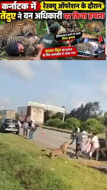 कर्नाटक में रेस्क्यू ऑपरेशन के दौरान तेंदुए का हमला! वन अधिकारी पर झपटा,