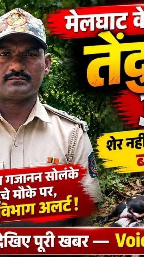 मेलघाट के सीनबन में तेंदुए का आतंक!
शेर नहीं, तेंदुए ने 8 बकरियों को बनाया शिकार!
वनपाल गजानन सोलंके पहुंचे मौके पर
वन विभाग अलर्ट!
ग्रामीणों में चिंता, इलाके में तेंदुए की तलाश शुरू
देखिए पूरी खबर
#dharni #melghat #breakingnews #amravati #viralnews