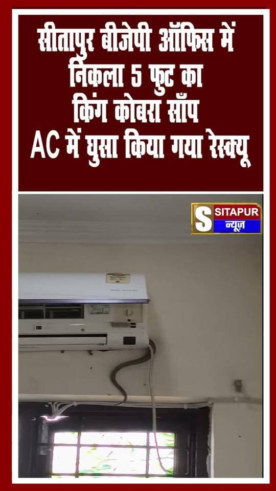 सीतापुर बीजेपी ऑफिस में निकला 5 फुट का किंग कोबरा साँप AC में घुसा किया गया रेस्क्यू