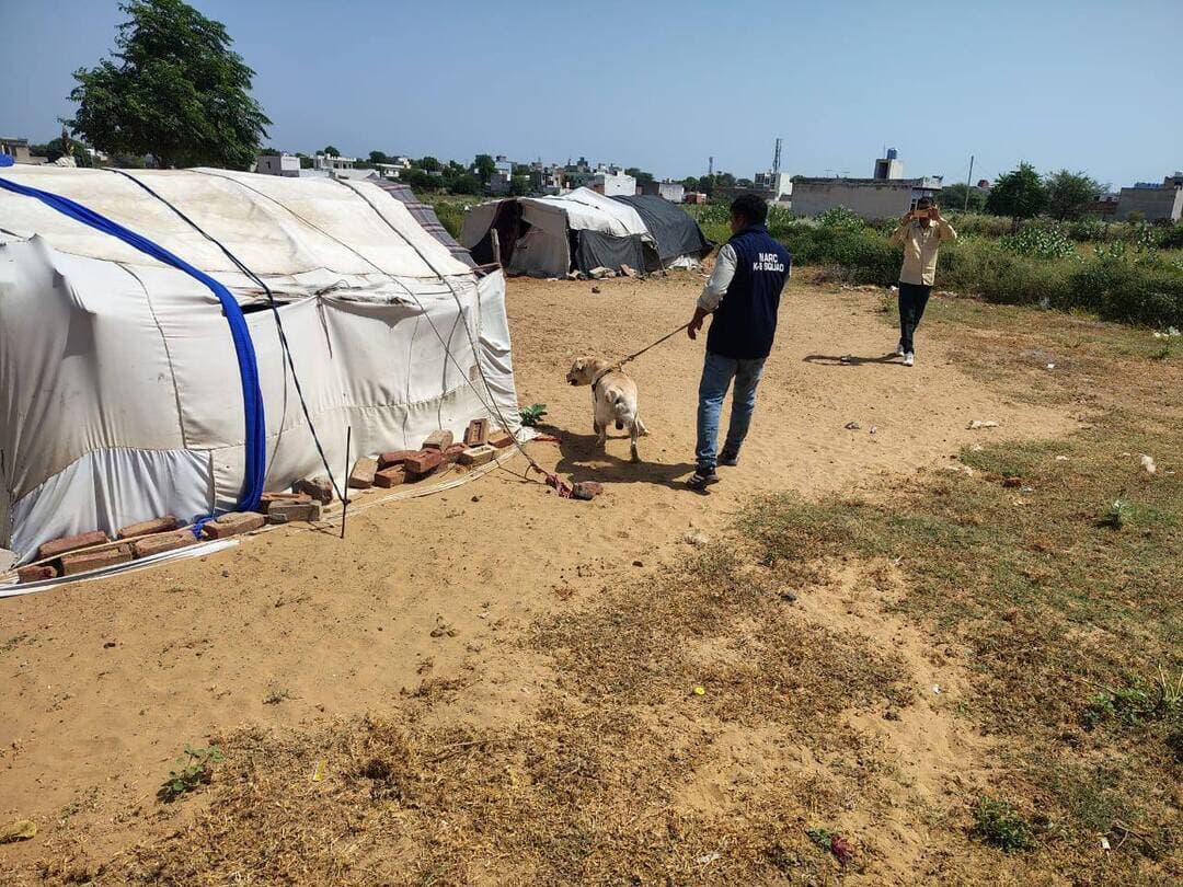 मादक पदार्थों के विरुद्ध जिला पुलिस भिवानी की सख्त कार्रवाई, संदिग्ध ठिकानों पर डॉग स्क्वायड के साथ चलाया विशेष चेकिंग अभियान
*थाना बहल पुलिस ने डॉग स्क्वायड टीम के साथ झुग्गी-झोपड़ियों, अनाज मंडी व होटलों में की सघन चेकिंग।*
पुलिस अधीक्षक भिवानी मयंक मिश्रा, आईपीएस के निर्देशानुसार जिला पुलिस भिवानी द्वारा जिले में मादक पदार्थों की बिक्री, भंडारण एवं तस्करी पर प्रभावी अंकुश लगाने के लिए लगातार विशेष चेकिंग अभियान चलाए जा रहे हैं। इसी क्रम में आज दिनांक 09.09. 2026 को थाना बहल पुलिस टीम द्वारा पुलिस लाईन भिवानी से डॉग स्क्वायड टीम को साथ लेकर मादक पदार्थों की तलाश एवं चेकिंग हेतु विभिन्न संभावित ठिकानों पर सघन तलाशी अभियान चलाया गया।
इस दौरान पुलिस टीम द्वारा बहल क्षेत्र की झुग्गी-झोपड़ियों, अनाज मंडी बहल तथा विभिन्न होटलों की डॉग स्क्वायड की सहायता से गहनता से चेकिंग की गई। चेकिंग के दौरान पुलिस टीम को किसी भी स्थान से कोई मादक पदार्थ बरामद नहीं हुआ।
जिला पुलिस भिवानी द्वारा जिले में मादक पदार्थ रखने, बेचने एवं उनकी तस्करी में संलिप्त व्यक्तियों तथा ऐसे संभावित ठिकानों पर लगातार निगरानी रखी जा रही है। पुलिस द्वारा थाना स्तर पर पुलिस टीमों के साथ-साथ डॉग स्क्वायड टीम की सहायता से भी समय-समय पर विशेष चेकिंग एवं तलाशी अभियान चलाए जा रहे हैं।
जिला पुलिस भिवानी की आमजन से अपील है कि यदि किसी व्यक्ति को मादक पदार्थों की बिक्री, तस्करी अथवा अवैध रूप से रखने के संबंध में कोई जानकारी प्राप्त होती है तो इसकी सूचना तुरंत पुलिस को दें। मादक पदार्थों के अवैध कारोबार में संलिप्त पाए जाने वाले व्यक्तियों के विरुद्ध कानून के अनुसार प्रभावी एवं सख्त कार्रवाई अमल में लाई जाएगी। ऐसे विशेष चेकिंग अभियान भविष्य में भी लगातार जारी रहेंगे।
पुलिस प्रवक्ता, भिवानी।।