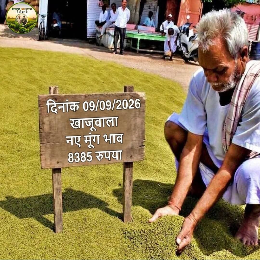 खाजूवाला मंडी मूंग भाव 09/09/2026
<nis:link nis:type=tag nis:id=खाजूवाला nis:value=खाजूवाला nis:enabled=true nis:link/> <nis:link nis:type=tag nis:id=किसान nis:value=किसान nis:enabled=true nis:link/> <nis:link nis:type=tag nis:id=मूंगफली nis:value=मूंगफली nis:enabled=true nis:link/> <nis:link nis:type=tag nis:id=मूंग nis:value=मूंग nis:enabled=true nis:link/> <nis:link nis:type=tag nis:id=भाव nis:value=भाव nis:enabled=true nis:link/>