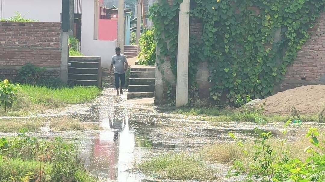 यह तस्वीर मोहनिया वार्ड 16 कृष्णा पूरी कॉलोनी की है 12से14साल बाद भी इस वार्ड की स्थिति वैसी ही है ना नाला निर्माण ना सड़क कीचड़ और जलजमाव के बीच यहां के लोगों का आना जाना रहता है लेकिन इनका दर्द ऐसी चैंबर में बैठने वालों को क्या पता,इनसे नगर में रहने के लिए हर तरह के टैक्स लिए जाते हैं लेकिन सुविधा नदारद है,मुस्कुराइए आप नगर पंचायत मोहनिया में हैं....
