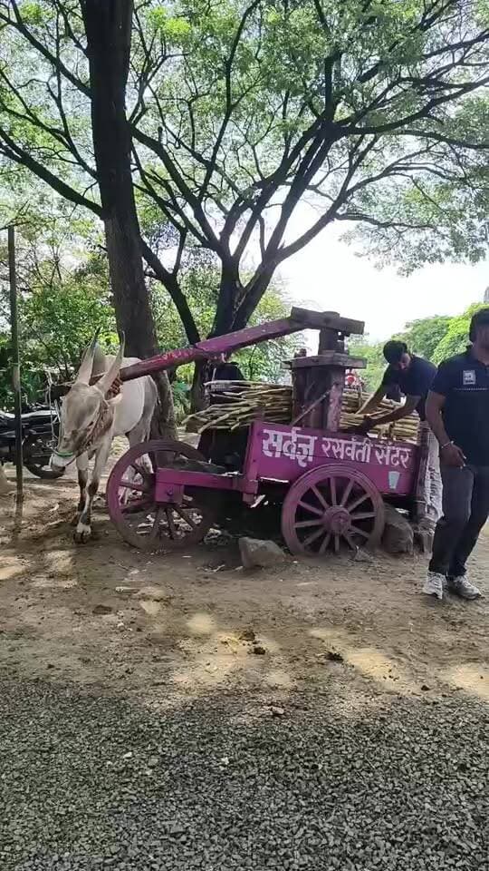 SMS News Bureau Maharastra
ଶନି ସିଗ୍ନାପୁର ଯିବା ରାସ୍ତାରେ ଆଖୁ ରସ ପିଇବା ପାଇଁ ରହିଥିଲି। ଏହି ଠାରେ ବନ୍ଦ ଦ୍ବାରା ଆଖୁ ପେଡା ଯାଇଥିବା ଦୃଶ୍ୟ ମିଳିଥିଲା।ଯାହା ଆପଣ ଙ୍କ ପାଇଁ Live ପ୍ରଦର୍ଶିତ ।