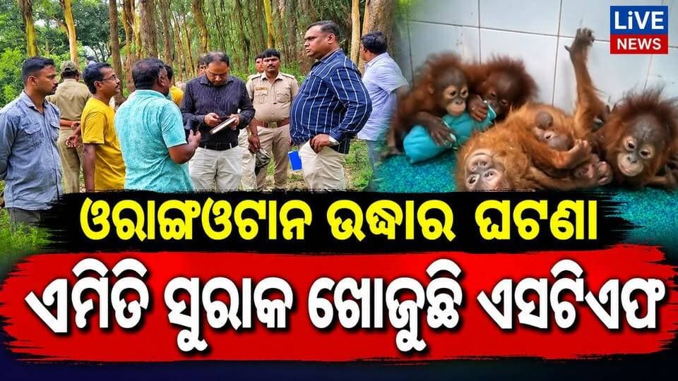 ଏସଟିଏଫ ଟିମ୍ ପାଇଗଲା ରହସ୍ୟ