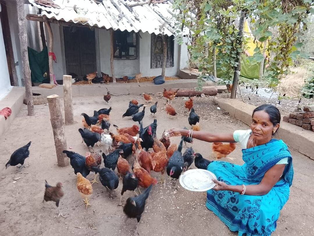 स्व-सहायता समूह में जुड़ने से बदली सवनी बाई की तकदीर
अब दूसरों को दे रही हैं स्वावलंबन का प्रशिक्षण
जिले के विकासखंड नारायणगंज अंतर्गत ग्राम गढ़ार की निवासी श्रीमती सवनी बाई का जीवन कभी सीमित साधनों और आर्थिक तंगी के बीच बीत रहा था। 8वीं तक शिक्षित सवनी बाई के परिवार में कुल 6 सदस्य हैं। उनके पति श्री सुकल सिंह कुलस्ते पारंपरिक रूप से केवल खेती-किसानी करते थे, जिससे परिवार की कुल वार्षिक आय 50 हजार रुपए से भी कम हो पाती थी। इतने कम साधनों में 6 सदस्यों का भरण-पोषण करना और बच्चों की शिक्षा का खर्च उठाना बेहद कठिन चुनौती थी।
मिशन से जुड़ाव और आत्मविश्वास की नई उड़ान
श्रीमती सवनी बाई के जीवन में सकारात्मक बदलाव तब आया जब वे मध्यप्रदेश राज्य ग्रामीण आजीविका मिशन (जनपद पंचायत नारायणगंज) के संपर्क में आईं। वे ‘ज्योति महिला आजीविका समूह’ से जुड़ीं और आगे चलकर ‘एकता ग्राम संगठन’ की सक्रिय सदस्य बनीं। मिशन और सहयोगी संस्था ’प्रदान’ के माध्यम से उन्हें विभिन्न आय अर्जन गतिविधियों तथा कौशल विकास का व्यावहारिक प्रशिक्षण प्राप्त हुआ। इस प्रशिक्षण ने उनके भीतर आत्मविश्वास जगाया, जिसके बाद उन्होंने पारंपरिक खेती के साथ-साथ आजीविका के नए मॉडलों को अपनाने का निर्णय लिया।
तीन प्रमुख गतिविधियों से मिली सफलता
वैज्ञानिक तकनीकों और बेहतर प्रबंधन को अपनाकर सवनी बाई ने तीन आजीविका मॉडल शुरू किए। जिसमे मशरूम उत्पादन में मात्र 3 हजार रुपये की शुरुआती लागत से मशरूम उत्पादन की शुरुआत की, जिसमें से महज डेढ़ हजार रूपए की लागत से उन्होंने मशरूम उत्पादन के लिए बैग्स तैयार किए, इसके बाद 15-15 दिनों के अंतर से मशरूम की हार्वेस्टिंग कर लोकल मार्केट में उनका विक्रय किया। इस गतिविधि से उन्हें 10 से 15 हजार तक की अतिरिक्त आमदनी होने लगी। साथ ही कुक्कुट (मुर्गी) पालन में 10-15 हजार रुपए के साथ व्यवस्थित रूप से मुर्गी पालन शुरू किया, जिससे वर्तमान में वे प्रतिवर्ष लगभग 30 हजार की आय अर्जित कर रही हैं। इसी प्रकार जैविक न्यूट्री-गार्डन सब्जी उत्पादन में अपने खेत में दैनिक उपयोग की मौसमी सब्जियों का जैविक उत्पादन शुरू किया। इससे परिवार को पौष्टिक व विष-मुक्त भोजन मिलने के साथ-साथ सब्जियों की बिक्री से वर्षभर निरंतर आय सुनिश्चित हुई।
सालाना आय बढ़कर हुई 1.50 लाख, बच्चों को कराई स्नातक तक की पढ़ाई
जो परिवार कभी 50 हजार रुपए की वार्षिक आय में गुज़र-बसर करने को मजबूर था, आज सवनी बाई की मेहनत और सही मार्गदर्शन से उस परिवार की कुल वार्षिक आय बढ़कर लगभग 1.50 लाख हो चुकी है। इस बढ़ी हुई आमदनी के दम पर सवनी बाई ने अपने सभी बच्चों की स्नातक तक की पढ़ाई सफलतापूर्वक पूरी करवाई है और अपनी बेटी को भी उच्च व बेहतर शिक्षा प्रदान की है।
अब स्वयं बन चुकी हैं मास्टर ट्रेनर
आज सवनी बाई का ज्ञान और अनुभव इतना समृद्ध हो चुका है कि वे स्वयं क्षेत्र के अन्य किसानों और ग्रामीण महिलाओं को मशरूम उत्पादन तथा मुर्गी पालन का प्रशिक्षण दे रही हैं। मध्यप्रदेश राज्य ग्रामीण आजीविका मिशन और प्रदान संस्था के सहयोग से आत्मनिर्भर बनीं सवनी बाई ने यह साबित कर दिया है कि सही अवसर, प्रशिक्षण और दृढ़ संकल्प से ग्रामीण महिलाएं न केवल अपने परिवार का भविष्य संवार सकती हैं, बल्कि पूरे समाज के लिए प्रेरणास्त्रोत बन सकती हैं।
Jansampark Madhya Pradesh
CM Madhya Pradesh
#mandla
Panchayat, Rural Development and Social Welfare Department of Madhya Pradesh