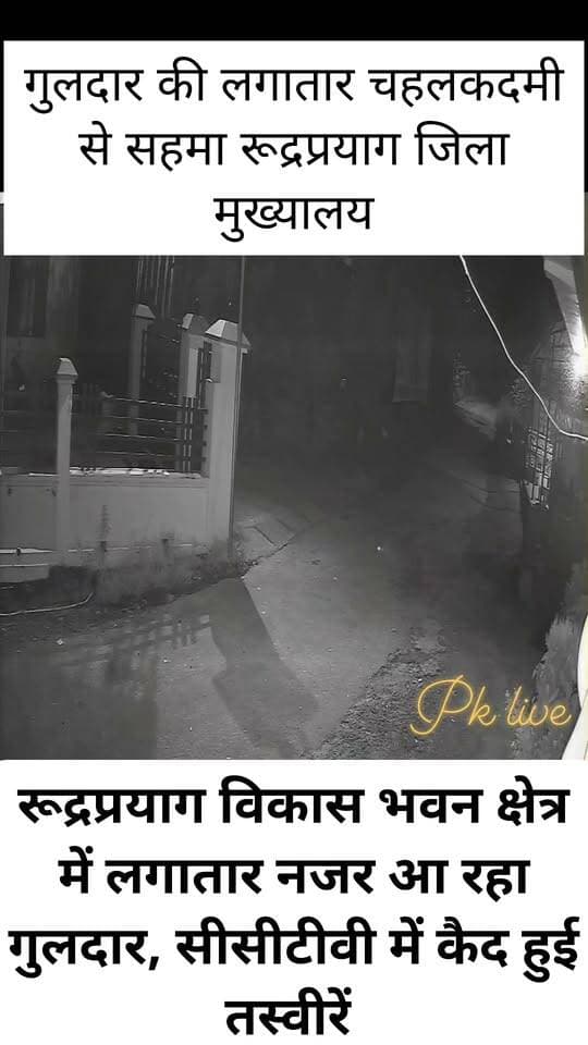 रुद्रप्रयाग जिला मुख्यालय से सटे खेड़धार और विकास भवन क्षेत्र में गुलदार की लगातार चहल-कदमी से लोगों में दहशत का माहौल है।
गुलदार आबादी वाले क्षेत्रों में घूमने के साथ ही घरों के बेहद करीब तक पहुंच रहा है। उसकी गतिविधियां कई स्थानों पर लगे सीसीटीवी कैमरों में भी कैद हुई हैं। गुलदार की तस्वीरें और वीडियो सोशल मीडिया पर प्रसारित होने के बाद क्षेत्र में लोगों की चिंता और बढ़ गई है।
स्थानीय लोगों के अनुसार पिछले कुछ समय से गुलदार लगातार क्षेत्र में दिखाई दे रहा है। कभी वह आबादी के बीच तो कभी घरों के आसपास चहलकदमी करता नजर आ रहा है। इससे सुबह और शाम के समय लोगों को अकेले आवाजाही करने में डर लग रहा है। अभिभावक भी बच्चों की सुरक्षा को लेकर चिंतित हैं। लोगों ने वन विभाग से गुलदार को जल्द पकड़ने और क्षेत्र में गश्त बढ़ाने की मांग की है।