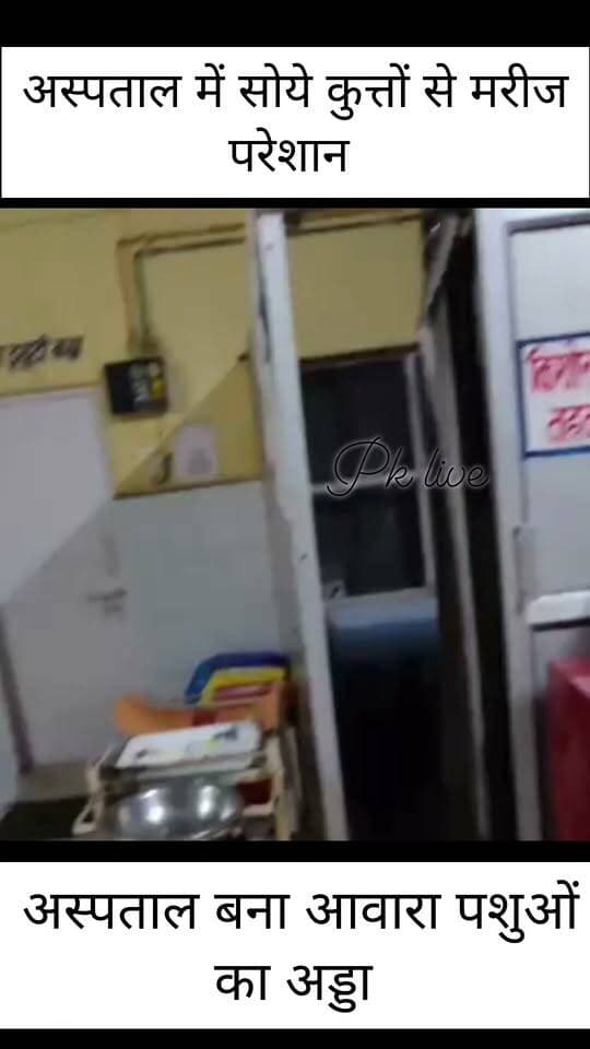 ये वीडियो पिथौरागढ़ का बताया जा रहा है, जो सोशल मीडिया पर जमकर वायरल हो रहा है। जिसमें एक अस्पताल की बैड पर कुत्ता लेटा हुआ है। जहां मरीजों के लिए व्यवस्था नहीं हो पाती है, वहां कुत्तों को आराम से जगह मिल रही है। इससे अस्पताल प्रबंधन पर भी सवाल खड़े हो रहे हैं।
वीडियो की पुष्टि पहाड़ी केदार live नहीं करता है।