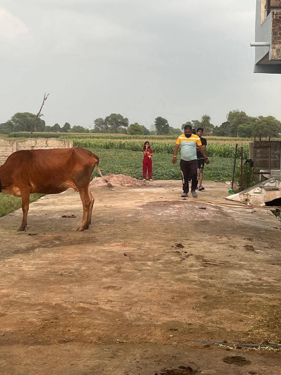 शासकीय भूमि से अतिक्रमण हटाकर सार्वजनिक रास्ता कराया गया बहाल
--
कलेक्टर श्री साकेत मालवीय के निर्देशानुसार तहसील अशोकनगर में मंगलवार को तहसीलदार श्री संतोष धाकड़ की उपस्थिति में राजस्व दल एवं नगर पालिका अशोकनगर के अमले द्वारा शासकीय भूमि से अतिक्रमण हटाने की कार्रवाई की गई। यह कार्यवाही न्यायालय तहसीलदार, अशोकनगर के प्रकरण के क्रम में की गई। कस्बा अशोकनगर स्थित शासकीय (सेड़ा) भूमि, सर्वे क्रमांक 770, रकबा 0.052 हेक्टेयर, का विगत लगभग 10 से 12 वर्षों से सार्वजनिक रास्ते के रूप में उपयोग किया जा रहा था। उक्त भूमि पर जूली जैन पत्नी चंचल निर्मल जैन एवं संतोष जैन पुत्र मूलचंद जैन द्वारा किए गए अतिक्रमण को राजस्व एवं नगर पालिका अमले द्वारा हटाया गया।
अतिक्रमण हटाने की कार्यवाही के दौरान मौके पर निर्मित पक्की बाउंड्री को हटाकर शासकीय भूमि को अतिक्रमणमुक्त कराया गया। इसके पश्चात नगर पालिका की जेसीबी मशीन की सहायता से भूमि को समतल कर पूर्व स्थिति में सार्वजनिक रास्ते के रूप में बहाल किया गया।इस कार्यवाही से आमजन के आवागमन के लिए अवरुद्ध सार्वजनिक रास्ता पुनः खुल गया है। साथ ही शासकीय भूमि को अतिक्रमणमुक्त कर उसका सार्वजनिक रास्ते के प्रयोजन के लिए उपयोग सुनिश्चित किया गया।
#ashoknagar