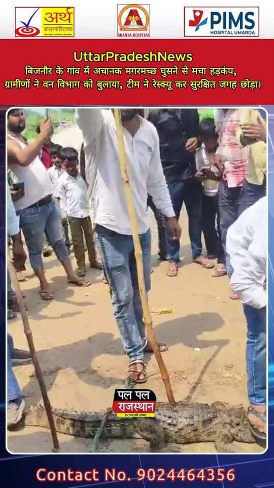 बिजनौर: गांव में उस वक्त हड़कंप मच गया, जब अचानक एक मगरमच्छ रिहायशी इलाके में पहुंच गया। मगरमच्छ को देखकर ग्रामीणों में दहशत फैल गई और लोग उसे देखने के लिए मौके पर जमा हो गए। ग्रामीणों ने तुरंत वन विभाग को सूचना दी।
सूचना मिलते ही वन विभाग की टीम मौके पर पहुंची और काफी सावधानी से मगरमच्छ को पकड़ लिया। इसके बाद उसे सुरक्षित स्थान पर छोड़ दिया गया। मगरमच्छ के पकड़े जाने के बाद ग्रामीणों ने राहत की सांस ली। #Bijnor #BijnorNews #Crocodile #CrocodileRescue #UPNews #UttarPradeshNews #VillageNews #WildlifeRescue #ForestDepartment #CrocodileInVillage #ViralNews #BreakingNews #PalPalNewsRajasthan #PalPalRajasthan