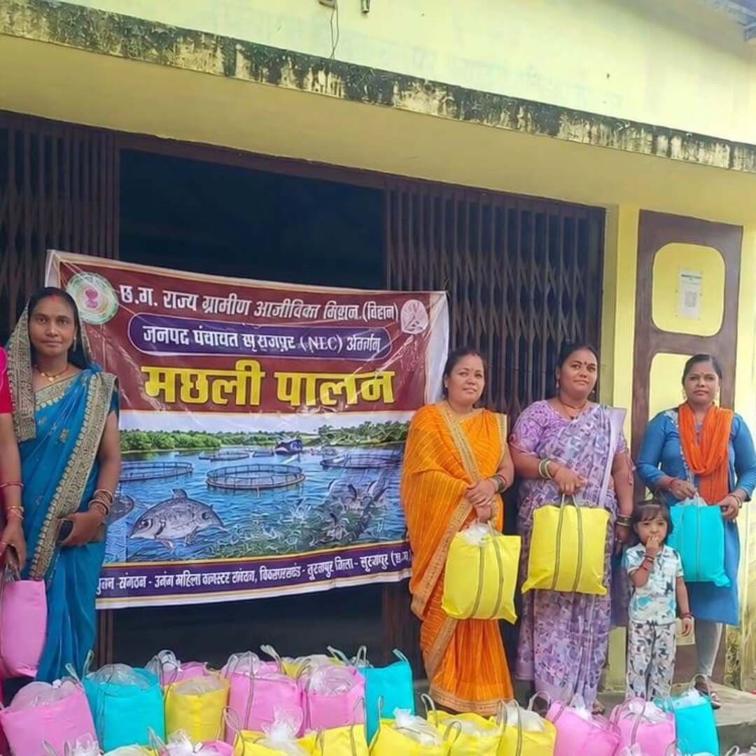 पकनी में 10 दिवसीय मछुआ प्रशिक्षण
ग्रामीण क्षेत्रों में रोजगार एवं स्वरोजगार के अवसरों को सुदृढ़ करने ग्राम पकनी में 10 दिवसीय मछुआ प्रशिक्षण आयोजित किया गया।
प्रशिक्षण में मत्स्य कृषकों को तालाब प्रबंधन, पोषण एवं आहार, रोग नियंत्रण, जाल उपयोग और वैज्ञानिक मत्स्य उत्पादन की आधुनिक तकनीकों की जानकारी दी गई। साथ ही शासन की मत्स्य योजनाओं एवं सुविधाओं से भी अवगत कराया गया।
#Surajpur #Fisheries #FishFarming #Rojgar #Swarojgar
@chhattisgarhcmo @dpr.chhattisgarh @rena_jamil_ias