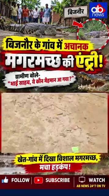 बिजनौर के गांव में अचानक मगरमच्छ की एंट्री