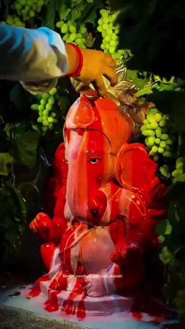 हाथ लिए गुड़ लड्डू साईं सर्वर को जय देव जय देव #ganpati #ganesha #bappamorya #shorts