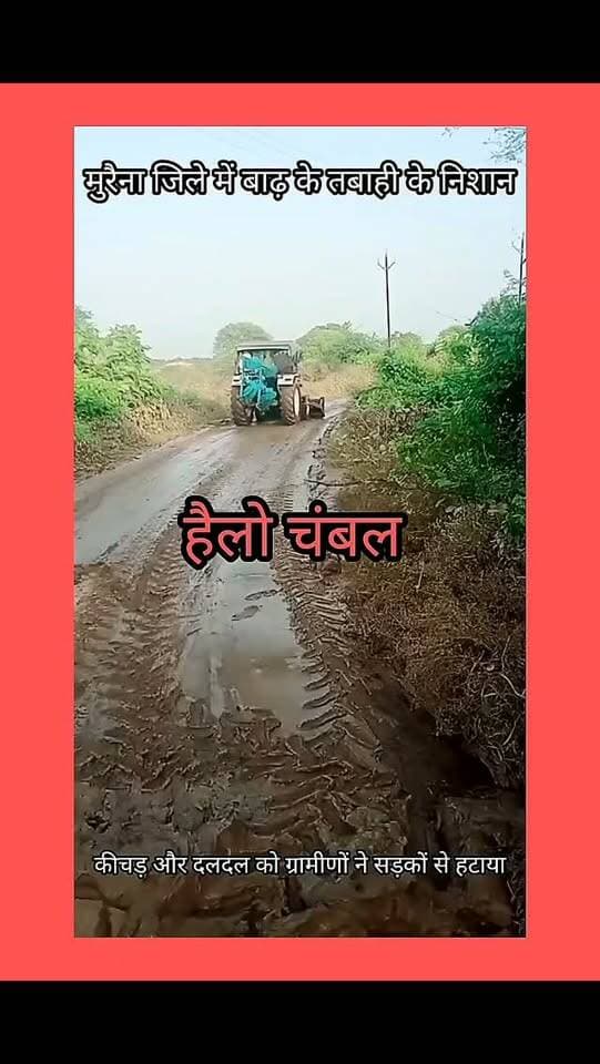 मुरैना। जिले में आई बाढ़ ने किसानों की फसलों को नुकसान पहुंचाने के साथ ही कई रास्तों को भी प्रभावित किया। कुंवारी नदी का पानी उतरने के बाद रपट का पुरा से सिधारी का पुरा मार्ग कीचड़ और दलदल में तब्दील हो गया, जिससे ग्रामीणों को आवागमन में परेशानी होने लगी।
समस्या को देखते हुए ग्रामीणों ने खुद मोर्चा संभाला और ट्रैक्टर की मदद से सड़क पर जमा कीचड़ की सफाई कर रास्ता सुचारु कराया। सफाई कार्य में महावीर तोमर, करारी और उमाशंकर उपाध्याय, सिधारी का पुरा का सहयोग रहा। ग्रामीणों की इस पहल से आमजन को आवागमन में राहत मिली।