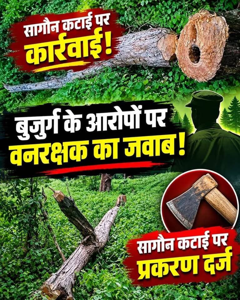 बुजुर्ग के आरोपों पर वनरक्षक उदित उइके का पक्ष सामने आया
HK News द्वारा संबंधित वनरक्षक को उनकी प्रतिक्रिया के लिए संपर्क/वीडियो दिखाए जाने के बाद उन्होंने यह पक्ष रखा।
#Seoni #Chhapara #SeoniNews #HKNewsSeoni #ForestDepartment #BreakingNews #Sagon #ForestNews Rajneesh Harvansh Singh Hashim Khan HK News Adv Nitin Daheriya