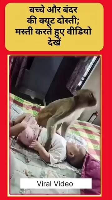 Cute Viral Video | बच्चे और बंदर की क्यूट दोस्ती; मस्ती करते हुए वीडियो देखें