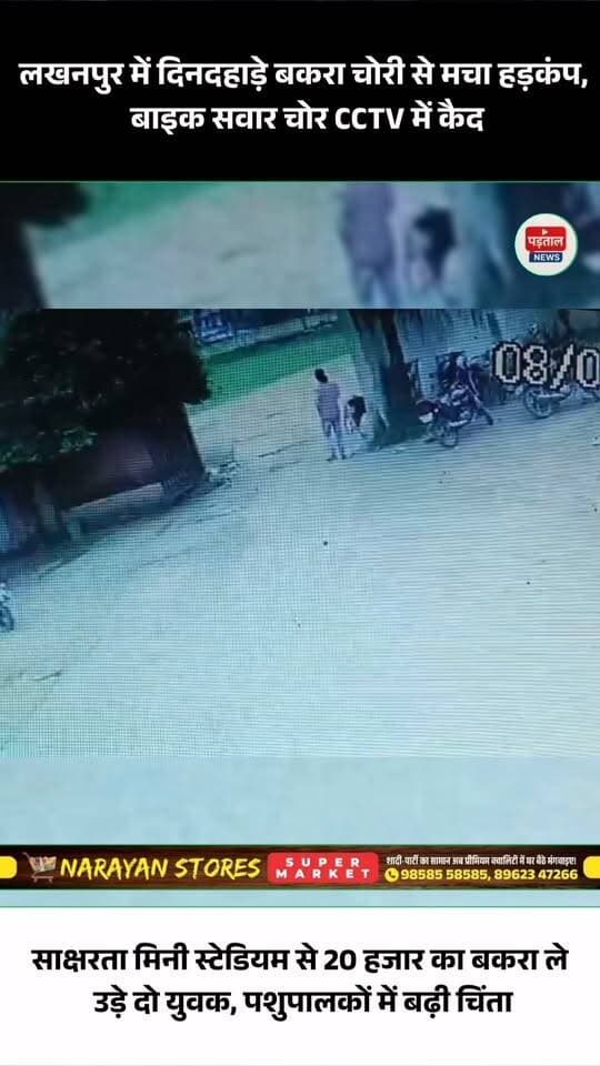 लखनपुर में बकरा-बकरी चोरी की लगातार सामने आ रही घटनाओं ने पशुपालकों की चिंता बढ़ा दी है। ताजा मामला साक्षरता मिनी स्टेडियम से सामने आया, जहां बाइक सवार दो युवक दिनदहाड़े करीब 20 हजार रुपये कीमत का बकरा लेकर फरार हो गए। पूरी वारदात पास लगे CCTV कैमरे में कैद हो गई, जिसका वीडियो सोशल मीडिया पर वायरल हो रहा है।
पीड़ित फिरोज खान ने लखनपुर थाने में शिकायत दर्ज कराने आवेदन दिया है। पुलिस CCTV फुटेज के आधार पर आरोपियों की तलाश में जुटी है। लगातार हो रही चोरी की घटनाओं से पशुपालकों में डर का माहौल है और लोगों ने आरोपियों की जल्द गिरफ्तारी की मांग की है।
#Lakhanpur #BakraChori #CrimeNews #CCTVFootage #Surguja #ChhattisgarhNews #BreakingNews